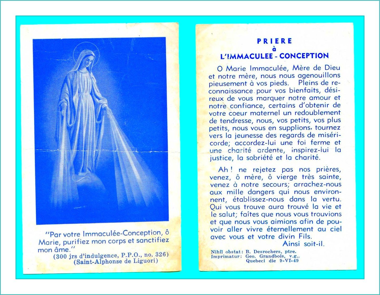 immaculee conception